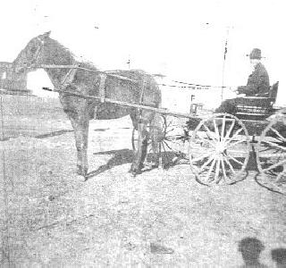 Judge & a carriage (Courtesy of Birdie Brogdon)